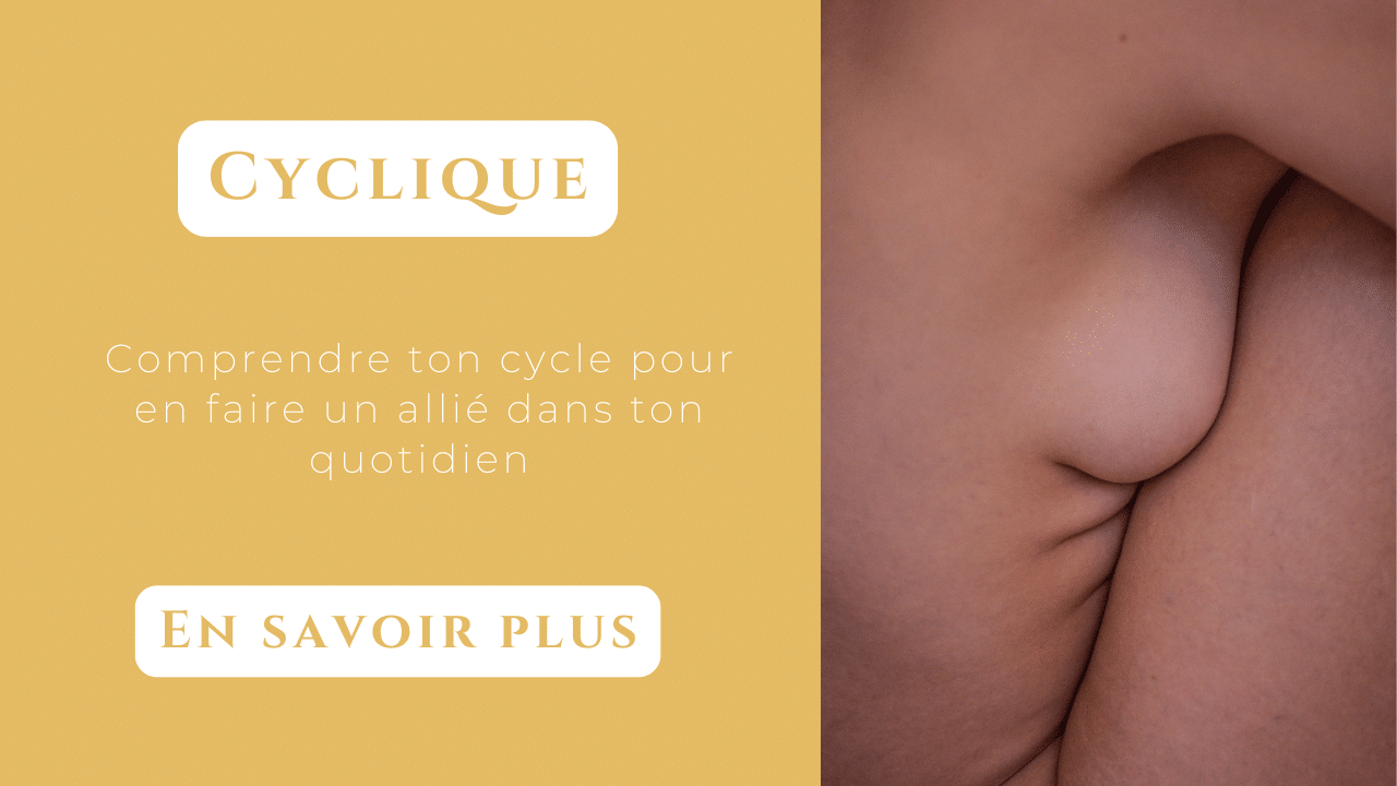 cycle menstruel allié